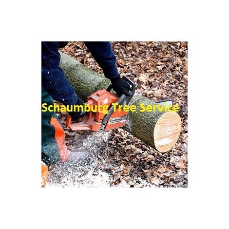 Schaumburg Tree Service