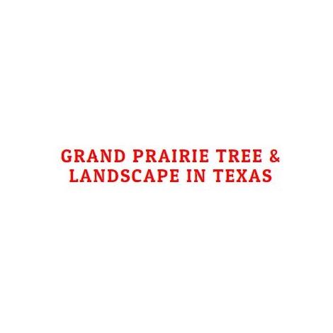 Grand Prairie Tree And Landscape