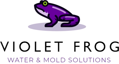 Violet Frog Environmental