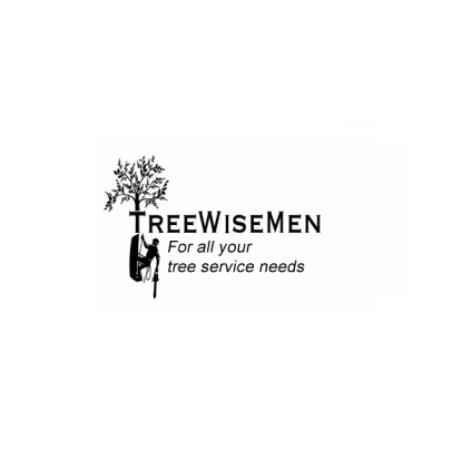 Treewisemen