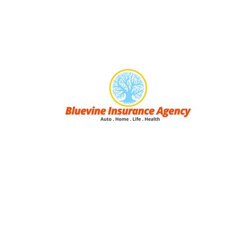 Bluevine Insurance Agency