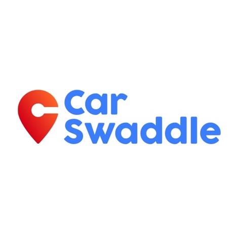 Car Swaddle