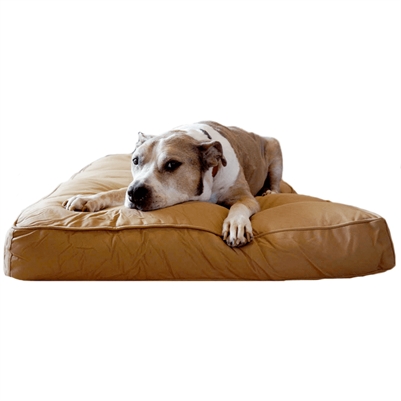 Extra Large Dog Beds | Big Dog Beds - Bully Beds 