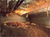 Palm Harbor Crawl Space Repair Dante  Greeves