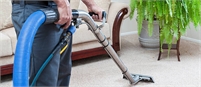  Steam Wizard Carpet Cleaning