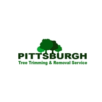 Tree Service Contractor Pittsburgh Adam Nurse